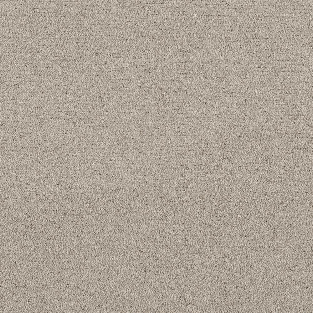 8 in. x 8 in. Pattern Carpet Sample - Night Owl -Color Thistle price history on PriceWatchPro