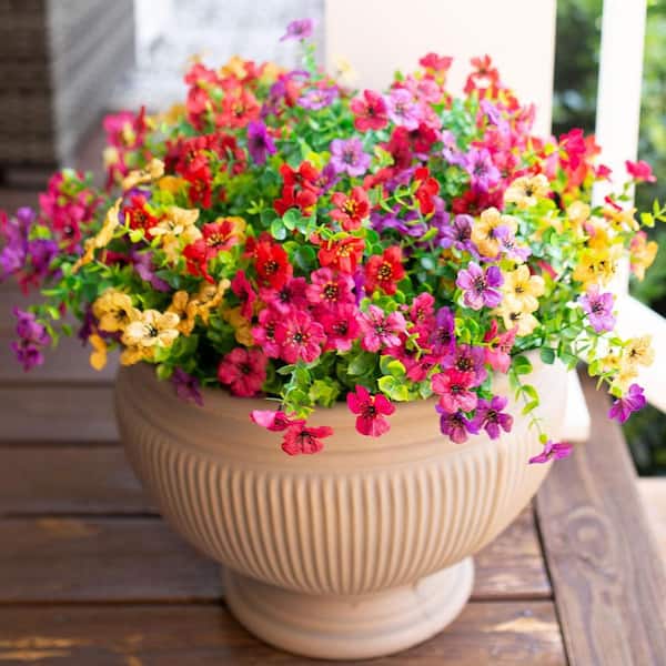 Afoxsos 5 in. H Multi-Colored Indoor/Outdoor Artificial Daisies Flower for Spring Summer Decoration (12 Bundle)