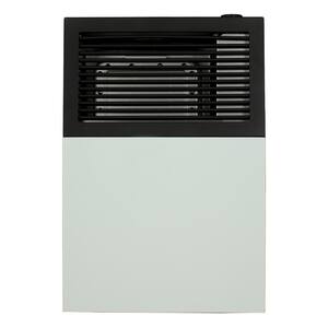 Ashley Direct Vent Natural Gas Wall Heater 8,000 BTU