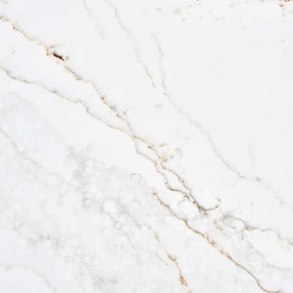 4 in. x 4 in. Quartz Countertop Sample in Splendor