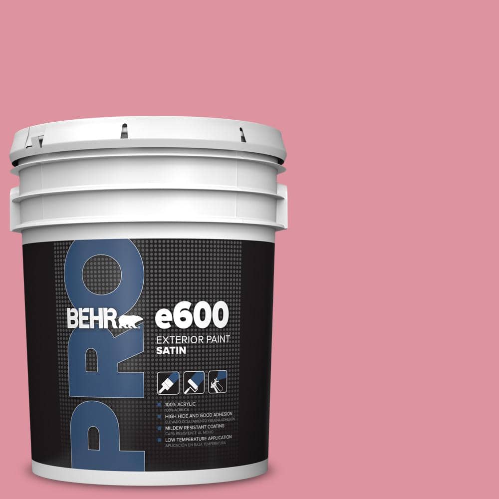 5 gal. #120C-3 Rose Marquis Satin Exterior Paint price history on PriceWatchPro