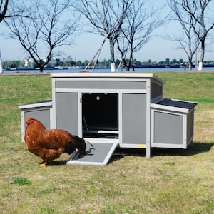 Wooden Chicken Coop with 2 Nesting Boxes