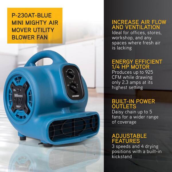 MOUNTO 1/5hp Air Mover 800cfm Blower Fan Carpet Floor Drying Fan - 3-Speed  Compact Air Mover w/Dual Outlet, 10ft Power Cord for Drying, Cooling, Air