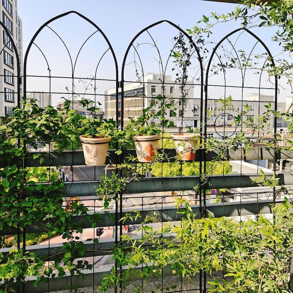 wayofatry 2-Pack 78.7 in. Height Metal Garden Rustproof Trellis Outdoor Flower Support for Climbing Plants in Black