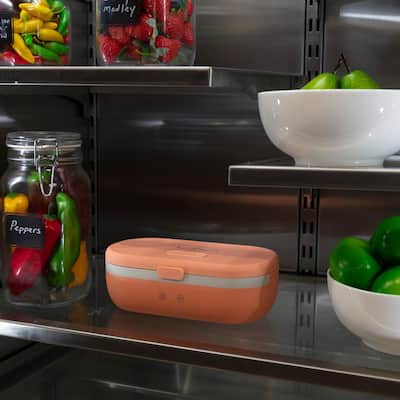 Mini Cooler Lunch Bag Food Storage