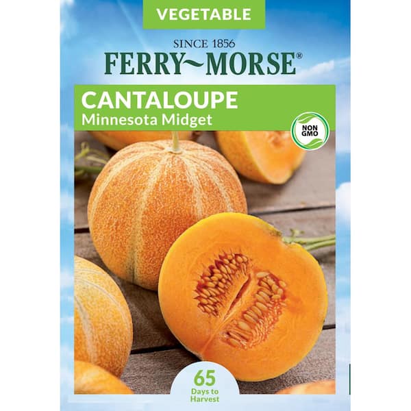 Ferry-Morse Cantaloupe Minnesota Midget Fruit Seed