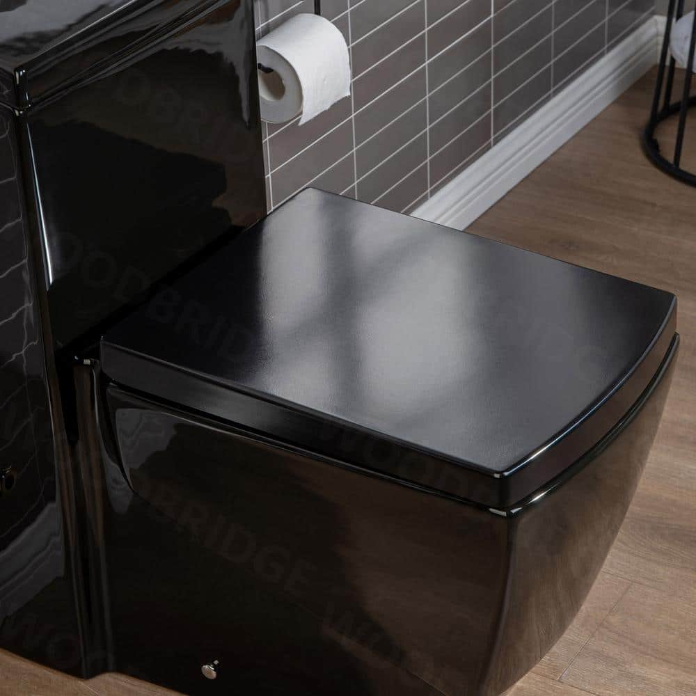 Black Square One-Piece Dual Flush Chair Height Toilet
