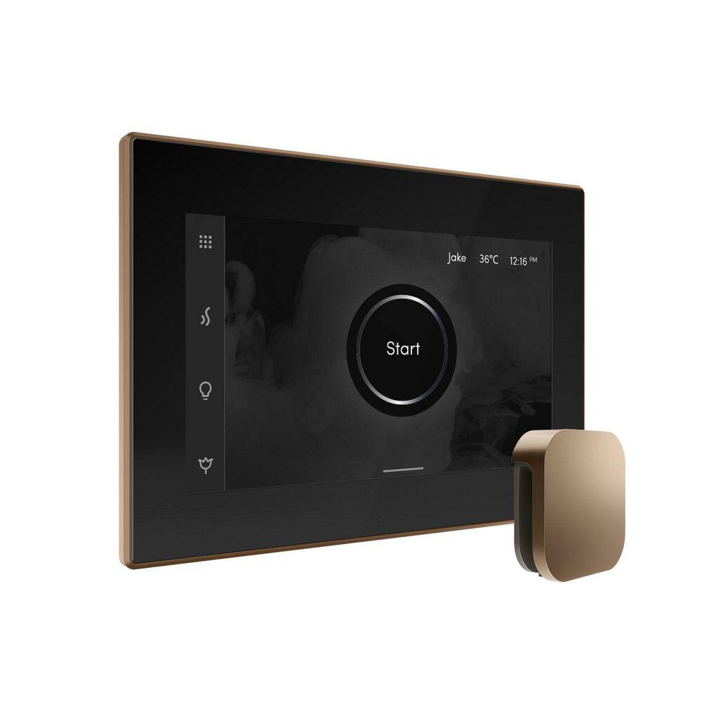 Bliss Max Steam Shower Control Package with iSteamX Control and Steamhead in Black Nouveau Bronze price history on PriceWatchPro