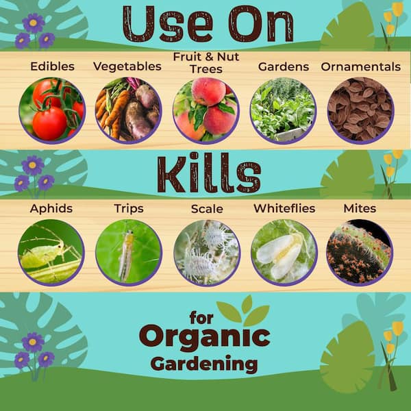 Captain Jack's Insecticidal Super Soap, 32 oz. Ready-to-Use Spray For Organic Gardening and Outdoor Plants