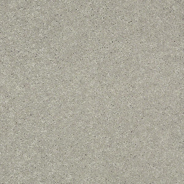 Brave Soul II - Nightingale - Gray 15 ft. 44 oz. Polyester Texture Carpet - Installation Required