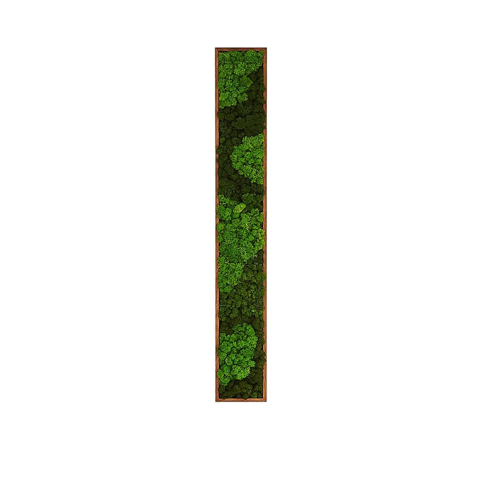 Hot Sale Metal Framed Rectangular Mixed Moss Wall Decor Art Print 6 in. x 4