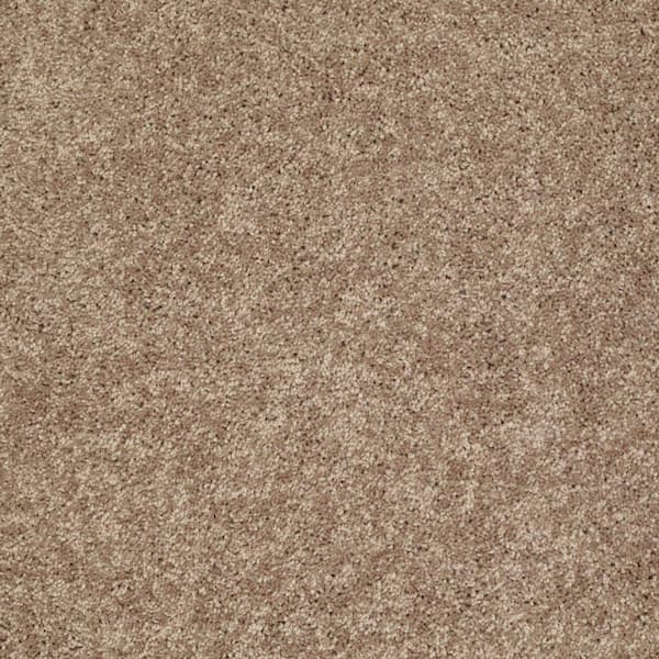 TrafficMaster Palmdale II - Nature Walk - Brown 31.2 oz. Polyester Texture Installed Carpet