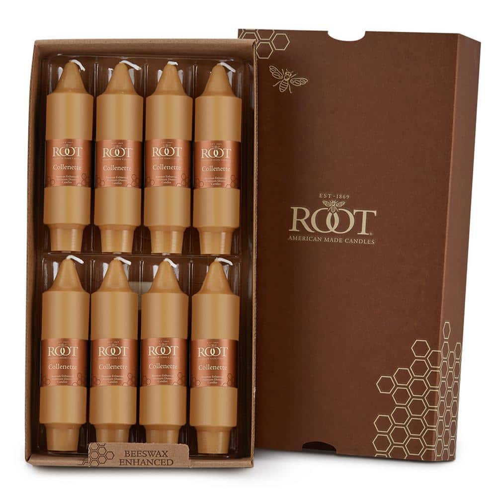 ROOT CANDLES Smooth 5 in. Beeswax Unscented Taper Candle