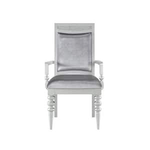 Fabric and Platinum Maverick Arm Chair (Set of 2)