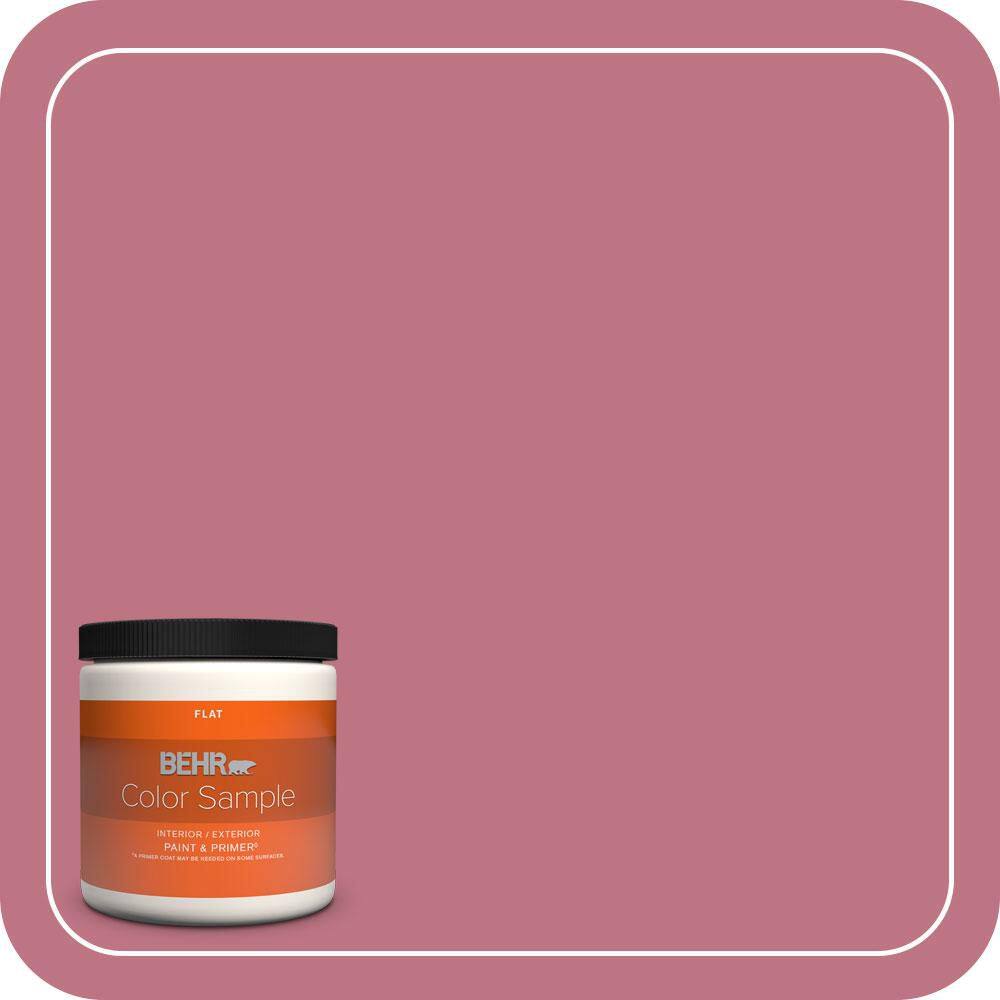 8 oz. #110D-4 Rosily Flat Interior/Exterior Paint & Primer Color Sample price history on PriceWatchPro