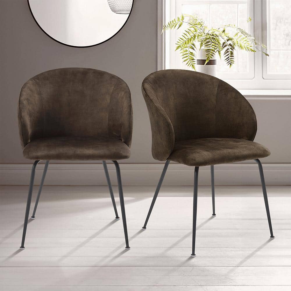 Adelyn Brown Velvet Upholstered Side Chair with Metal Legs, Set of 2