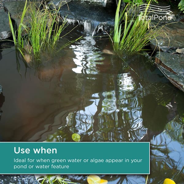 TOTALPOND - 16 oz. Algaecide for Ponds and Fountains