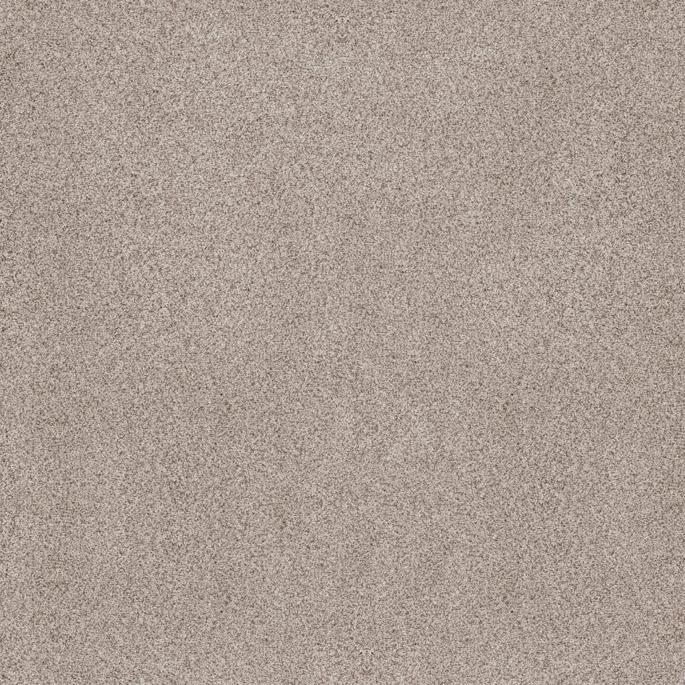 8 in. x 8 in. Texture Carpet Sample - Sand Dunes I - Color Hollis price history on PriceWatchPro