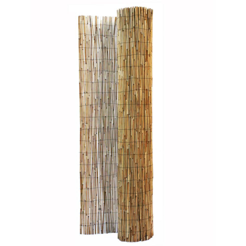 Natural Jumbo Reed Bamboo Garden Fence Screen 6 ft H x 16 ft L