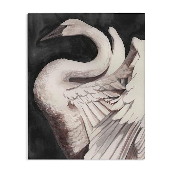 アートポスター　SWAN Stupell Industries Swan Spreading Wings by Grace Popp Unframed