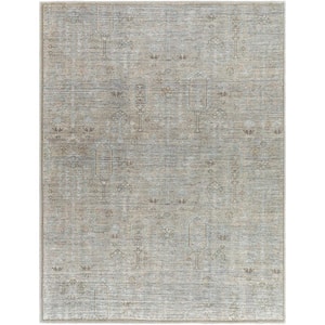 Darling Taupe/Ice Blue 6 ft. x 9 ft. Traditional Washable Indoor Area Rug