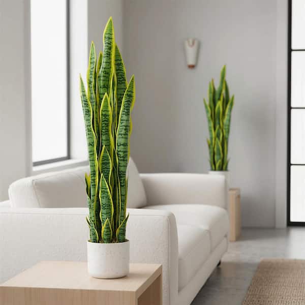 Gravee 3 ft. Tall Fake Snake Plant in Pot, Large Potted Artificial