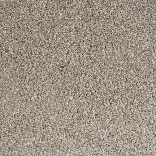 Bolter II -Forge- Brown 53.9 oz. Triexta Polyester Textured Installed Carpet