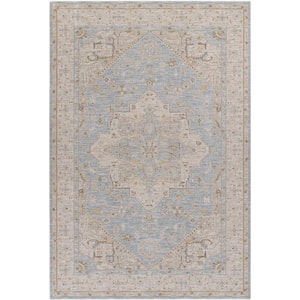 Avant Garde 8 ft. x 10 ft. Light Blue Border Indoor Area Rug