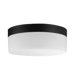 Mark 1-Light Black LED Outdoor/Indoor Integrated Flush Mount Ceiling Light with Frosted Glass Shade