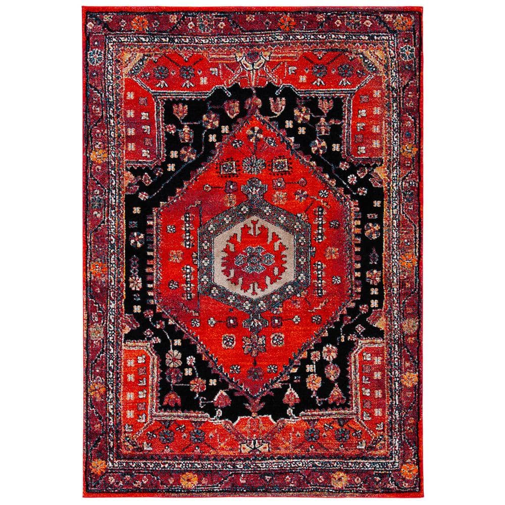 Vintage Hamadan Red/Black 8 ft. x 10 ft. Border Floral Area Rug price history on PriceWatchPro
