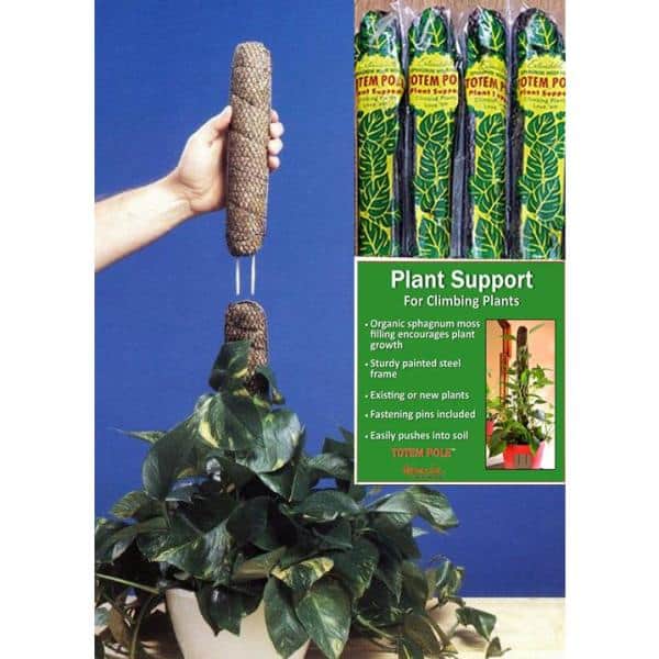 24" Brown Sphagnum Moss Plant Support Pole