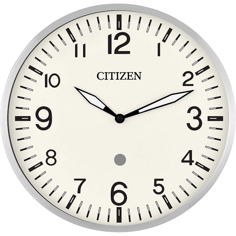 CITIZEN Silver Echo Compatible Programmable Wall Mounted Smart