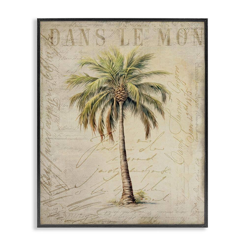 Vintage Palm Tree by Andrea Haase 1 Piece Black Framed Nature Giclee Art Print 14 in. x 11 in.