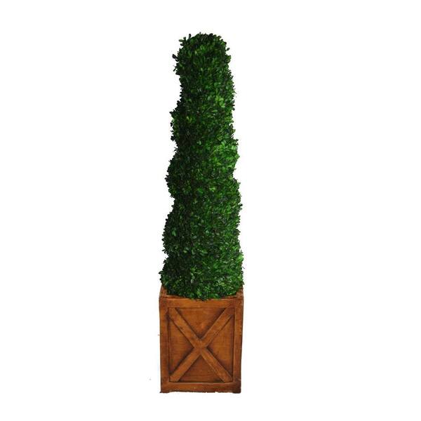 Laura Ashley 59 in. Tall Preserved Natural Spiral Boxwood Topiary in 13 in. Fiberstone Planter