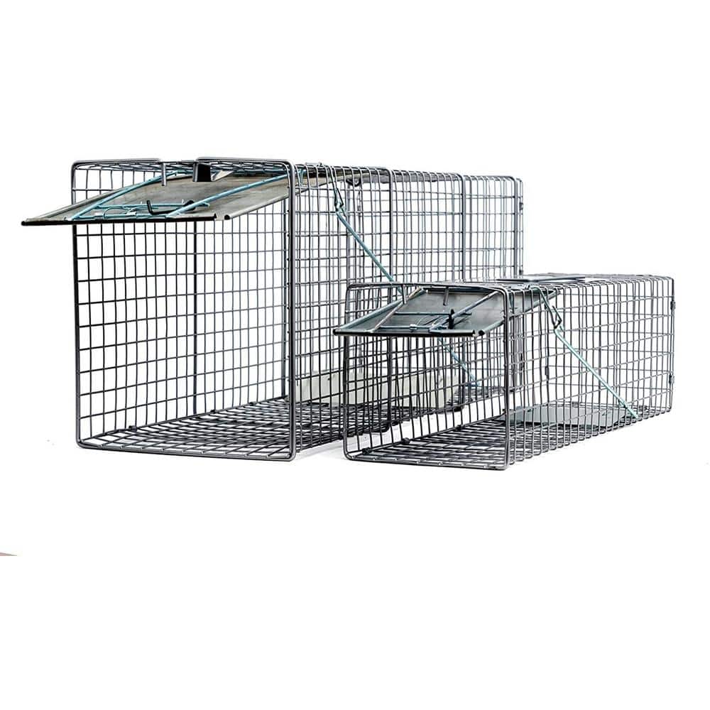 Den Haven Live Animal Trap Humane Catch & Release Cage Cat Rabbit Rodents  2-Door Foldable Heavy Duty Trapping Kit (Large )(32 X 12 X 12) 