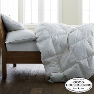 Light Warmth White Queen Down Comforter with Organic Cotton Cover