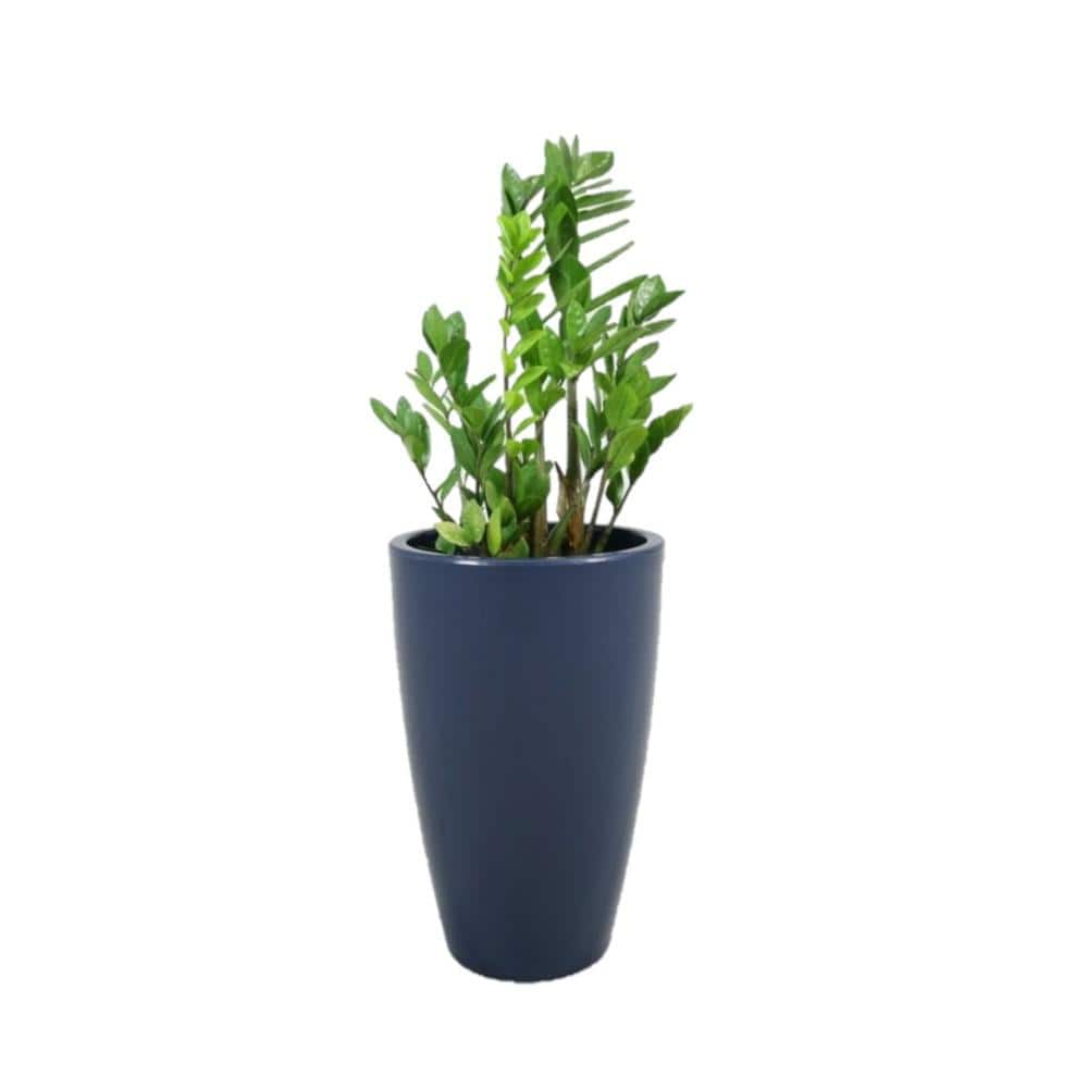 Rain Forest 35 in. Tall Cobalt Blue Verona Plastic Planter R.0200.052 ...