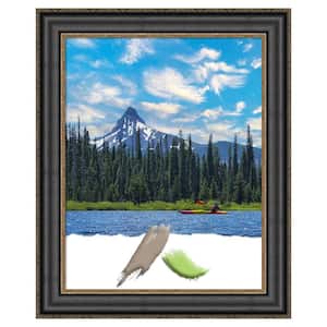 16 in. x 20 in. Theo Black Silver Wood Picture Frame Opening Size