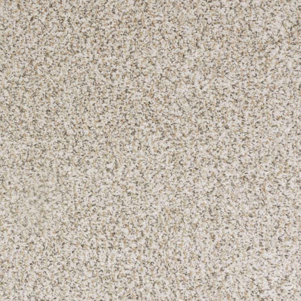 8 in. x 8 in. Texture Carpet Sample-Bolter II-Color Pillar