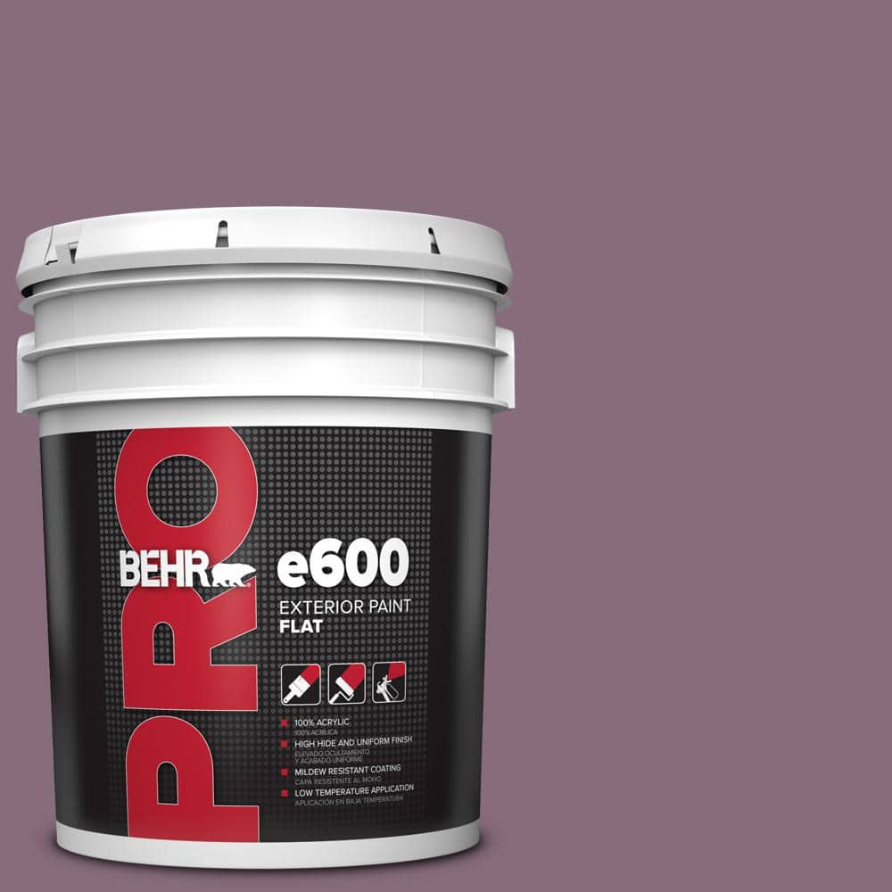 5 gal. #S110-6 Plum Royale Flat Exterior Paint price history on PriceWatchPro