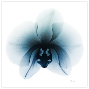 "Glacial Orchid" Unframed Free Floating Tempered Glass Panel Graphic Wall Art Print 38 in. x 38 in.