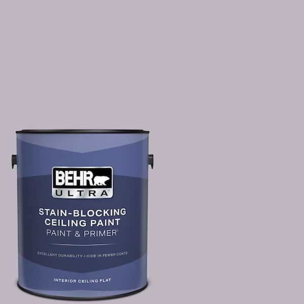 1 gal. #PPU16-09 Aster Ceiling Flat Interior Paint & Primer