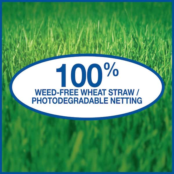 Pennington - 4 ft. W, 50 ft. L Wheat Straw Seed Starter Germination Blanket Weed-Free Biodegradable for Hills and Slopes