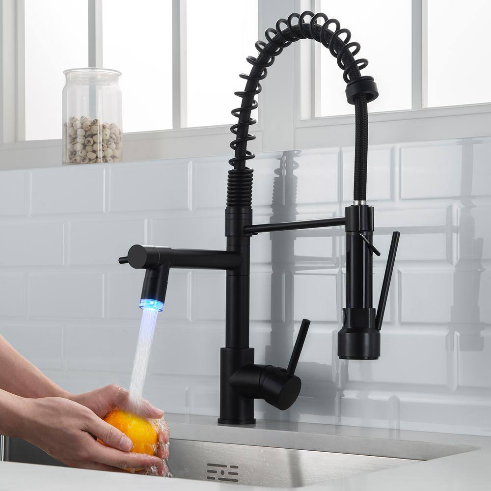 Matte Black Pull Down Kitchen Faucet with Pull-out Spray