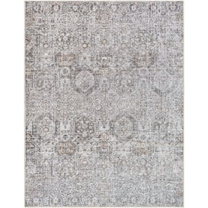 Vinny Gray Traditional 5 ft. x 7 ft. Indoor Area Rug