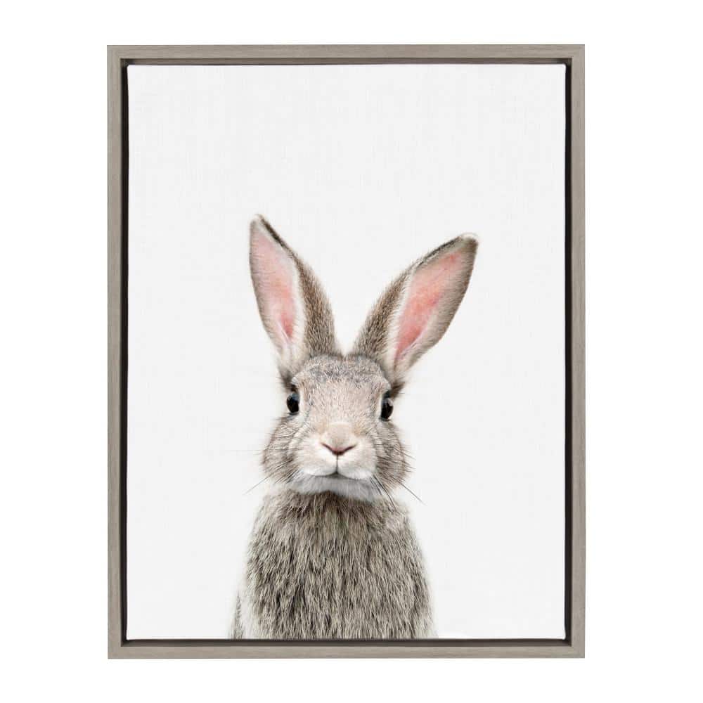 "Sylvie ""Animal Studio Female Rabbit"" by Amy Peterson Framed Canvas Wall Art" price history on PriceWatchPro