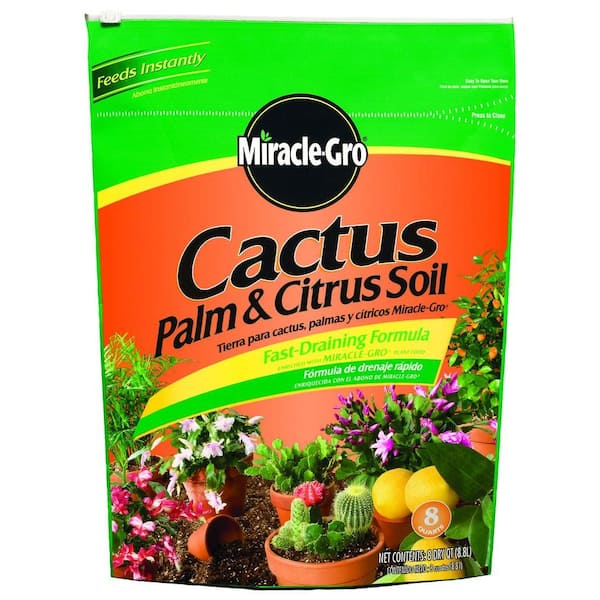 Miracle-Gro Cactus Palm and Citrus Soil