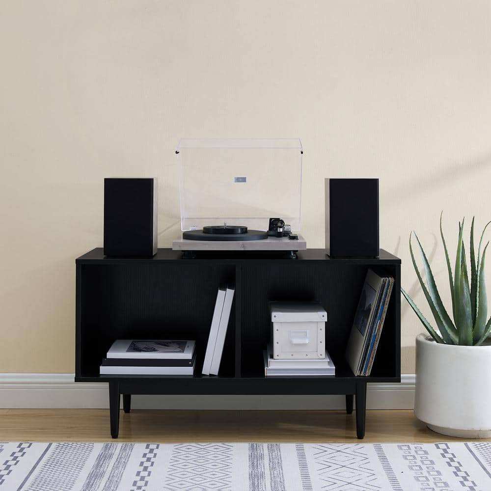 Liam Mid-Century Modern Black Vinyl Record Storage Console