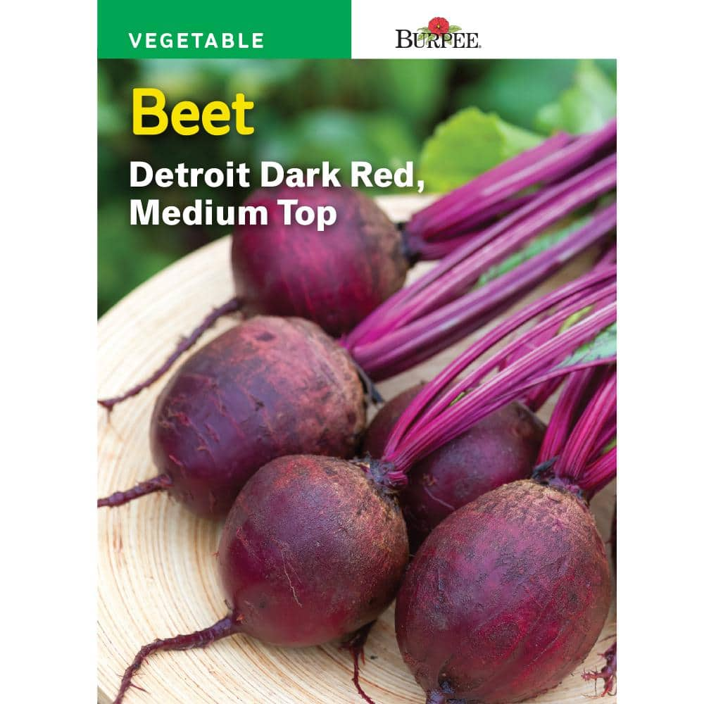 Burpee Beet Detroit Dark Red Medium-Top Seed 65722 - The Home Depot