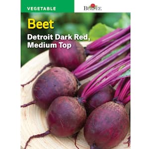 Beet Detroit Dark Red Medium-Top Seed